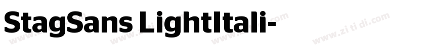 StagSans LightItali字体转换